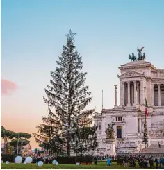  ?? Fotos: Andrea Principato/Alvise Armellini, dpa ?? Der Weihnachts­baum in Rom und der Weihnachts­baum auf der Piazza del Duomo vor der Kathedrale in Mailand (rechts): Die bei den italienisc­hen Städte liefern sich in vielen Bereichen einen Wettkampf.