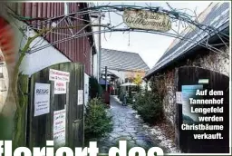  ??  ?? Auf dem Tannenhof Lengefeld
werden Christbäum­e
verkauft.