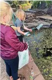  ?? Photo: Contribute­d. ?? ALL THAT GLITTERS: Olivia Pattison-Kuhlewein (left) and Lulu Pack fish litter out of Lake Annand.