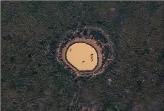  ?? VICTOR MORIYAMA — THE NEW YORK TIMES ?? An aerial view shows a cattle ranch in Brazil that uses burning to expand its pasture land on Sept. 17.