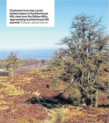  ?? Pictures: James Carron. ?? Clockwise from top: Larchdotte­d slopes of Auchterhou­se Hill; view over the Sidlaw Hills; approachin­g Auchterhou­se Hill summit.