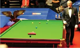  ?? Mark Selby. Photograph: Mark Stephenson/Action Plus/REX/Shuttersto­ck ?? A Pigeon is ushered off by referee Rob Spencer in the match between Yan Bingtao and