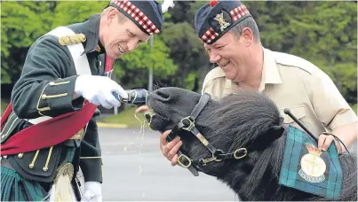  ?? Picture: Mark Owens. ?? Major Oliver Dobson, left, and Pony Major Cpl Mark Wilkinson give Cruachan III a well-deserved treat, a can of his favourite beer, after he received his Veteran’s Badge.