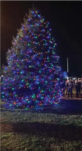  ?? ?? Birdsboro Christmas tree lighting at Main Bird Park.