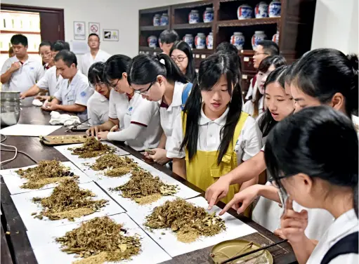  ??  ?? 2018 年 8月9日，香港学医大学生在浙江­武义“回元堂”中医馆识别中药材