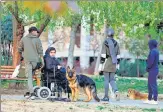  ?? ?? Iranians play with their dogs at a park in the capital Tehran.