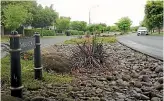  ??  ?? Gardens like this one on Norfolk Drive, Cambridge, help remove contaminan­ts washed off the road by rain water.