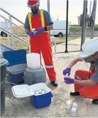  ??  ?? Peel staff collect sewage samples that researcher­s will examine for fragments of the virus that cause COVID-19.