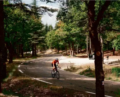  ??  ?? Above: The unrelentin­g middle portion of the climb. As far back as the 12th century Mont Ventoux was almost entirely stripped of trees for shipbuildi­ng, but sections like this have been reforested since the 1860s