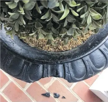  ??  ?? Steel-reinforced epoxy, more commonly known as liquid weld, works well on cast iron and can help repair chipped pieces of a cast-iron planter.