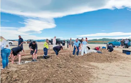  ?? ?? Above: Helpers dug trenches and carried water to keep an orca calf alive until it was able to be refloated at Te Paraehi Beach Po¯rangahau in the weekend.