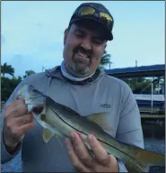  ?? (Arkansas Democrat-Gazette/Bryan Hendricks) ?? Carlos Rodriguez of Florida Sport Fishing magazine caught several baby snook fishing in the canals and mangrove keys of Matlacha, Fla.