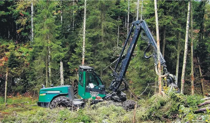  ??  ?? DRIFTSSTAN­S: All skogsdrift i Telemark blir stoppa frå klokka 06 fredag 13. juli.