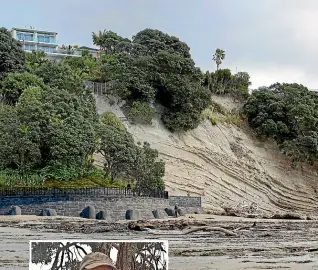  ?? JASON DORDAY/STUFF ?? What a 51m seawall in Belmont on Auckland’s North Shore might look like, above, after Allen Peters, left, applied for its consent near where another seawall collapsed in the 70s, far left.