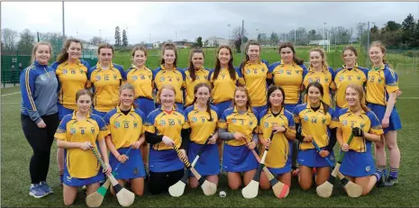  ?? Photo: Leigh Anderson ?? The Wicklow Minor camogie team who suffered a late defeat to Mayo in Bray last weekend.