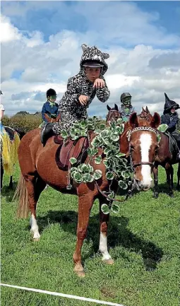  ??  ?? Matamata rider Catherine Hardie is looking to defend her overall novice title at this years A&P Show in Matamata.