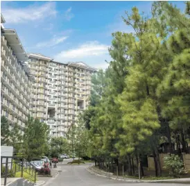  ?? ?? Hundreds of Caribbean Pine trees adorn the grounds of Northpoint, Vista Estates' landmark condominiu­m developmen­t in Davao City.