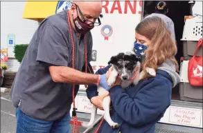  ?? Kim Williams / Associated Press ?? This Nov. 13 photo provided by Lost Dog and Cat Rescue Foundation shows a handler holding a rescue dog from Georgia in Falls Church, Va. Kim Williams, who volunteers for the Lost Dog and Cat Rescue Foundation says he has tapped into a puppy pipeline to bring some of Georgia’s homeless pet population to the mid-Atlantic region, where demand is outrunning the number of dogs available for adoption.