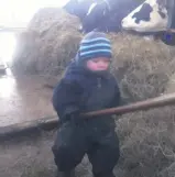  ??  ?? Si vous avez besoin d’un bon petit bonhomme à l’étable, Léo répond toujours présent. Papa Marc-André Boudreault et maman Renée-Claude Morin, de L’AnseSaint-Jean, en sont bien fiers. Remarquez ses belles joues rouges!