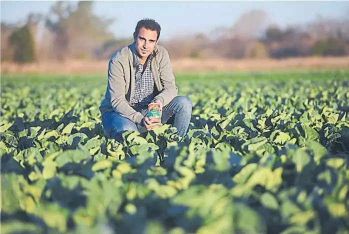  ?? (FOTOS DE FACUNDO LUQUE) ?? Del campo al envase. Severino Luis Bordi con los cultivos de invierno en el campo, hortalizas que luego forman parte del tradiciona­l pickle de la marca.