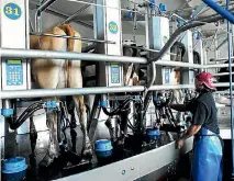  ??  ?? Attaching clusters just one second faster can have a dramatic impact on the number of cows milked per hour.