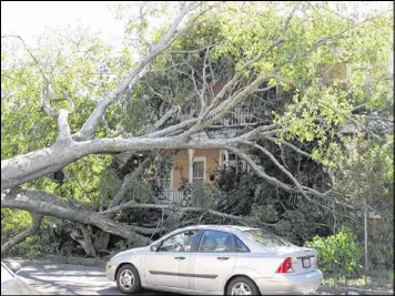  ?? RUSS BYNUM / AP ?? The top of a tree knocked down by Hurricane Matthew smothers the front of a large home near downtown Savannah, which suffered widespread damage.