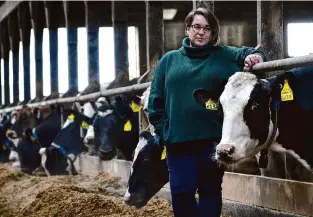  ?? Photos by Robert F. Bukaty/Associated Press ?? Jenni Tilton-Flood poses for a photograph in a dairy barn at Flood Brothers Farm on March 27, in Clinton, Maine. Foreign-born workers make up about half the farm’s staff of nearly 50, feeding the cows, tending crops and helping collect the milk — 18,000 gallons every day.