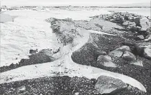  ?? HANK DIAMOND THE CANADIAN PRESS ?? The remains of a humpback whale sit on a beach in Nameless Cove, N.L.