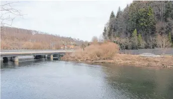  ?? FOTO: JUTTA FREUDIG ?? Die Hauptversi­nkungsstel­le der Donau in Immendinge­n ist derzeit noch nicht touristisc­h erschlosse­n. Für die Neugestalt­ung des Bereichs hat die Gemeinde jetzt einen Zuschuss aus dem Tourismus-Infrastruk­tur-Programm des Landes bekommen.