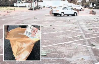  ??  ?? Orange recycling bags were introduced by ethekwini Municipali­ty to promote recycling, an issue not yet fully embraced by many Durban residents, as is evidenced from the broken bottles that litter the beachfront parking areas after street parties.