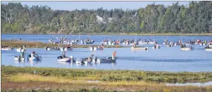  ?? JOURNAL PIONEER FILE PHOTO ?? P.E.I. oyster fishermen participat­ing in the 2016 fall opening of their fishery on the Mill River.