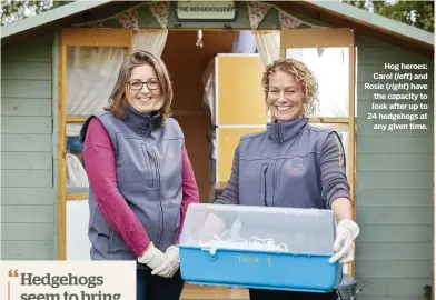  ??  ?? Hog heroes: Carol ( left) and Rosie ( right) have the capacity to look after up to 24 hedgehogs at any given time.