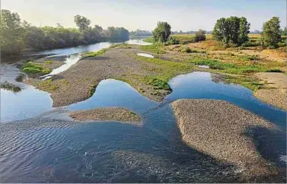  ?? ?? Der Fluss Sesia ist die Lebensader der Lomellina – und fast ausgetrock­net.