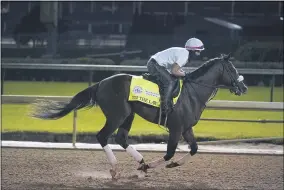  ?? DARRON CUMMINGS — THE ASSOCIATED PRESS ?? Kentucky Derby entry Tiz the Law runs during a workout at Churchill Downs on Sept. 4.