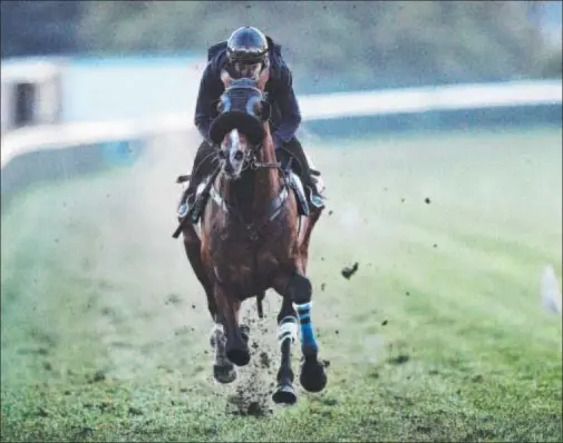  ?? Photo: MICHAEL KLEIN ?? CAULFIELD CUP HOPE: Jamie Mott works Geelong-owned galloper Winchester at Flemington yesterday.