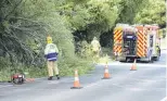  ??  ?? Across the road . . . Firefighte­rs were quick to remove a fallen tree that blocked one lane of State Highway 88 at Burkes on Saturday.