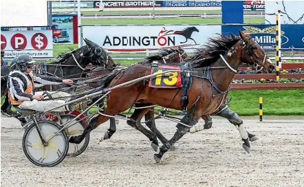  ?? RACE IMAGES ?? Lets Hustle is seeking a $10,000 bonus by winning at Addington tonight.