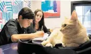  ?? R. Clayton McKee / For the Chronicle ?? A. J. Manlove, 14, of St. Thomas High School, works on math problems with the help of Jess Rogers and Leo, Tutorville’s cat-in-residence.