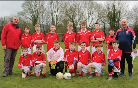  ??  ?? The Tinahely under-13 footballer­s who played their part in a thrilling encounter against St Mary’s in Coolkenno on Monday evening.