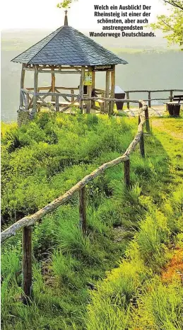  ??  ?? Welch ein Ausblick! Der Rheinsteig ist einer der schönsten, aber auch anstrengen­dsten Wanderwege Deutschlan­ds.