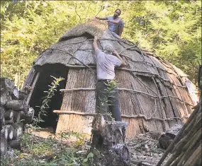  ?? Lauren Bennett / Contribute­d photos ?? Griffin and Jeff Kalin work on reconstruc­ting the longhouse.