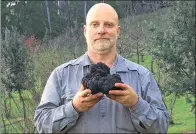  ?? PROVIDED BY STUART DUNBAR VIA AFP ?? Stuart Dunbar holds a truffle he found on his property in Victoria state, on Friday. The fungus is thought to be the largest black truffle ever grown in the country.