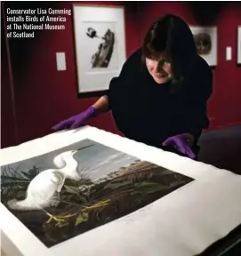  ?? ?? Conservato­r Lisa Cumming installs Birds of America at The National Museum of Scotland