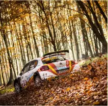  ?? Photos: Jakob Ebrey, FIA ERC, Paul Lawrence ?? European competitor­s are well supported