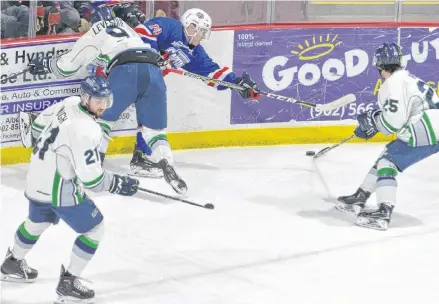  ?? JASON SIMMONDS/JOURNAL PIONEER ?? St. Stephen Aces forward Jacob Levesque attempts to finish a check on Summerside Western Capitals forward Zach Thususka, who is competing with Everett Hicks, 25, for a loose puck during MHL (Maritime Junior Hockey League) action in Summerside on Jan. 10. Also in the play is the Aces’ Michael Waugh, 21. The two teams open the best-of-seven playoff series in Summerside on Saturday at 7 p.m.