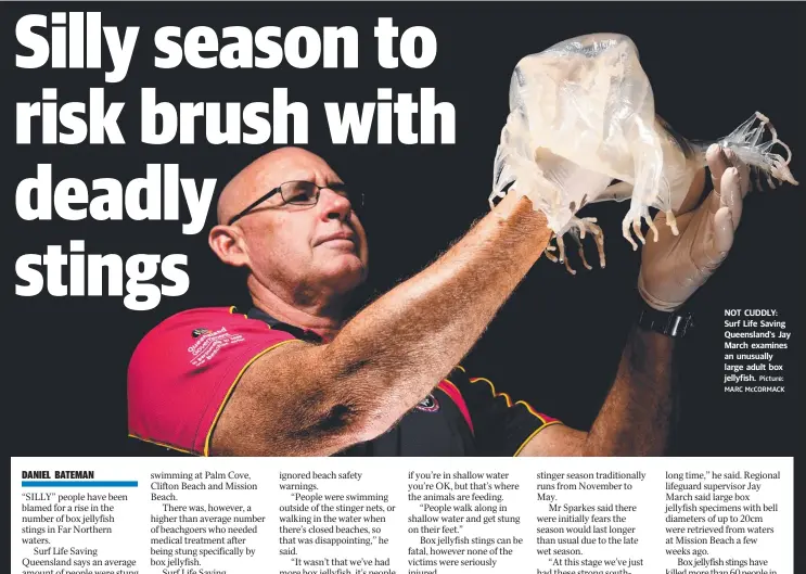  ?? Picture: MARC McCORMACK ?? NOT CUDDLY: Surf Life Saving Queensland's Jay March examines an unusually large adult box jellyfish.