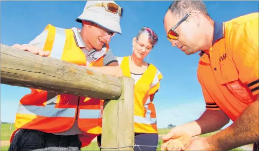  ??  ?? DEMO: Enviroscho­ols Canterbury’s Matt Sanford checks out a fencing demonstrat­ion by Landcorp Kapiro Station fencer Mike Sunnex as part of a three-day national WaiRestora­tion hui at Kerikeri. Regional councillor Joce Yeoman — whose father taught her to fence as a child — watches.