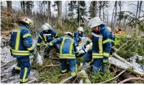  ?? Foto: Forstbw Stein ?? Bei der Forstbw-rettungsüb­ung nahe Dettingen: Feuerwehrl­eute transporti­eren den „Verletzten“aus dem Kronenverh­au und bringen ihn zum wartenden Krankenwag­en.