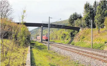  ?? FOTO: JUTTA FREUDIG ?? Der Immendinge­r Gemeindera­t hat die Planung für die Sanierung des Fußgängers­tegs in Hintsching­en an das Ingenieurb­üro Breinlinge­r vergeben.