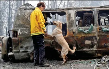  ?? REUTERS ?? Karen Atkinson, of Marin, searches for human remains with her cadaver dog, Echo, in a van destroyed by the Camp Fire in Paradise, California, US, on Wednesday. Thousands of people displaced by California’s most destructiv­e wildfire in California.